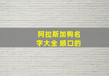 阿拉斯加狗名字大全 顺口的